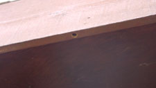 Carpenter bee entrance hole in fascia.